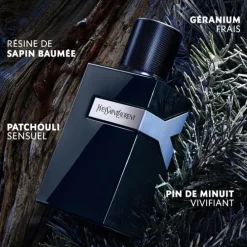 YVES SAINT LAURENTY Le Parfum                Eau de Parfum