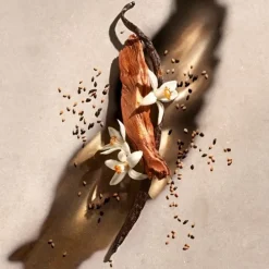 ZADIG&VOLTAIREZadig                Eau de Parfum - Flacon-Recharge